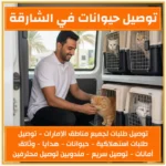 توصيل حيوانات في الشارقة