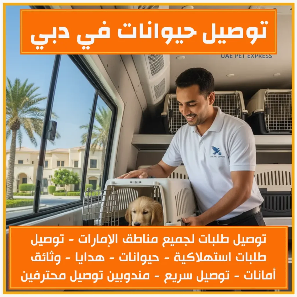 توصيل حيوانات في دبي