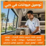 توصيل حيوانات في دبي