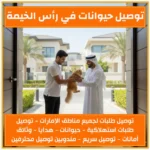 توصيل حيوانات في رأس الخيمة