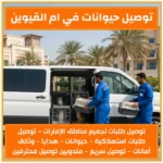 توصيل حيوانات في ام القيوين